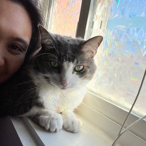 Meet your Posher, Krshna